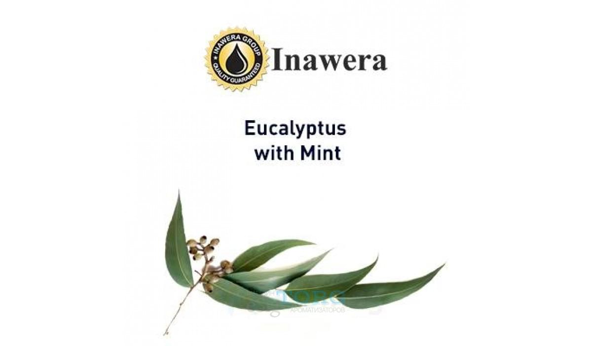 Ароматизатор Inawera Eucalyptus + Mint (Эвкалипт и мята)